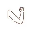 Arms Icon