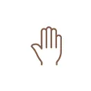 Hands Icon